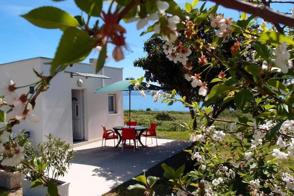 Summerhouse Calypso Split Exterior foto